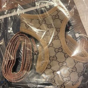 Matching dog leash and harness for a small dog.